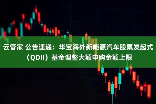 云管家 公告速递：华宝海外新能源汽车股票发起式（QDII）基金调整大额申购金额上限