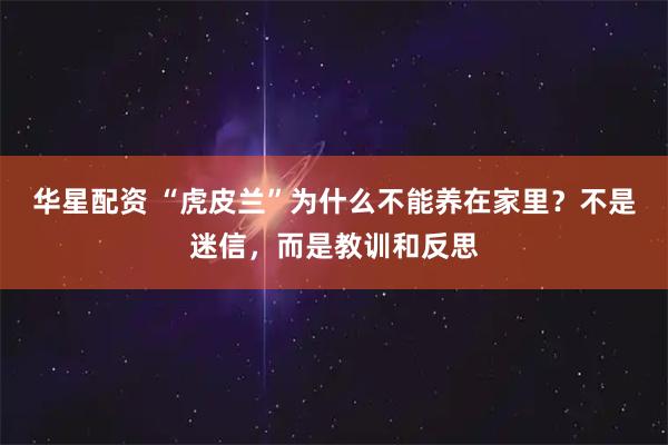 华星配资 “虎皮兰”为什么不能养在家里？不是迷信，而是教训和反思