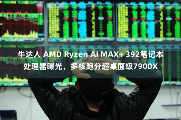 牛达人 AMD Ryzen AI MAX+ 392笔记本处理器曝光，多核跑分超桌面级7900X